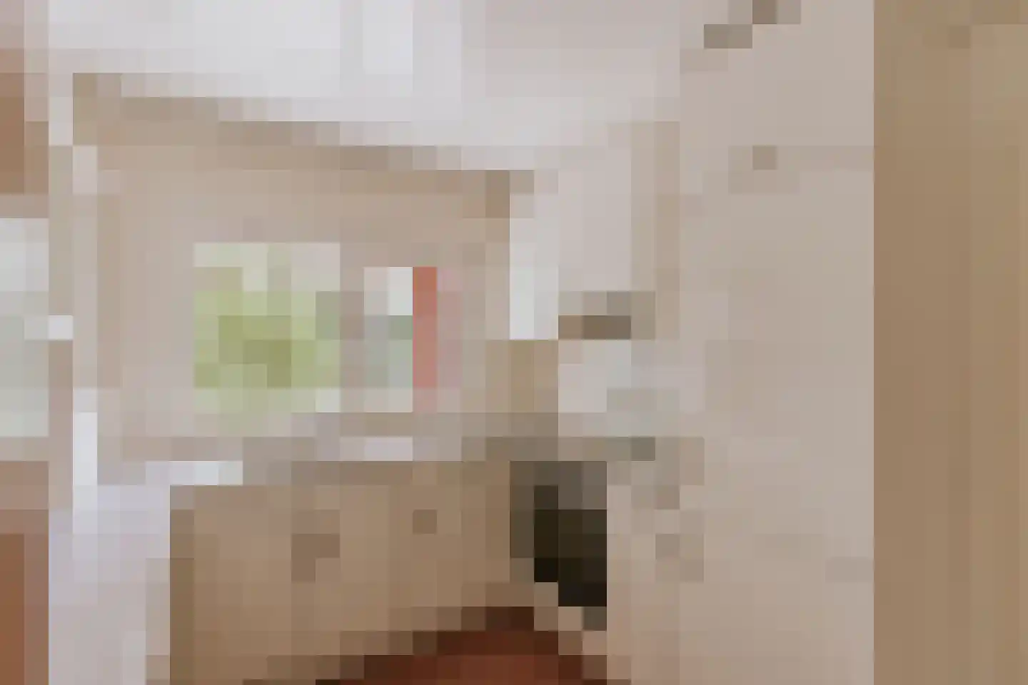 Dominicushof 6 Roermond thumbnail 27