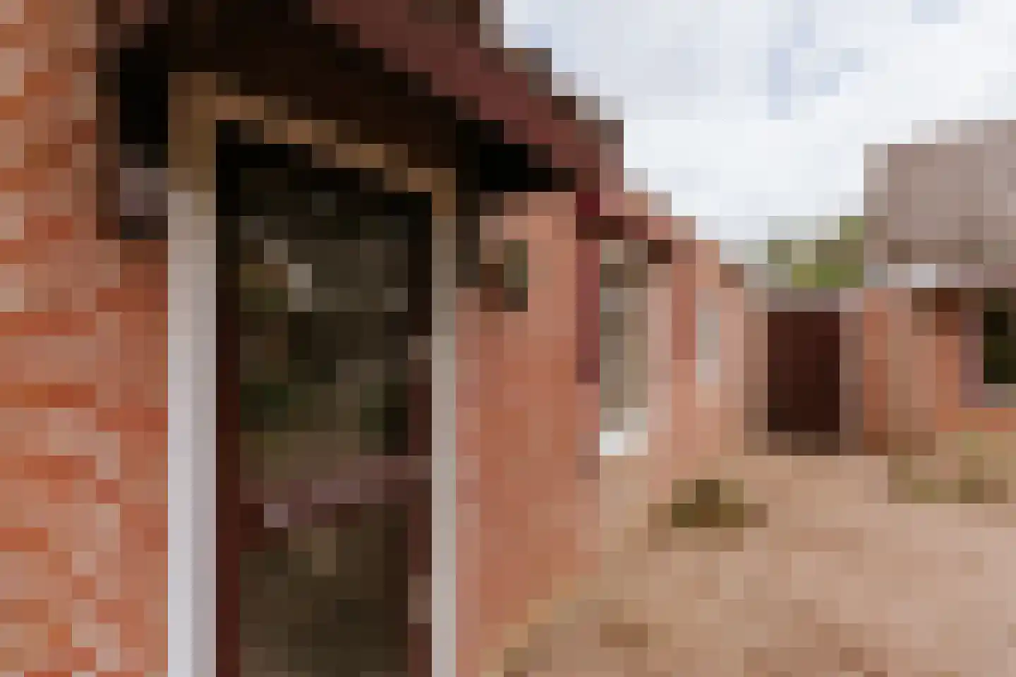 Dominicushof 6 Roermond thumbnail 36