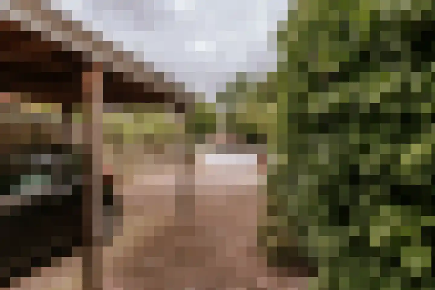 Dominicushof 6 Roermond thumbnail 38