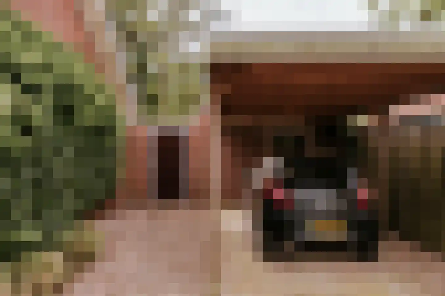 Dominicushof 6 Roermond thumbnail 39