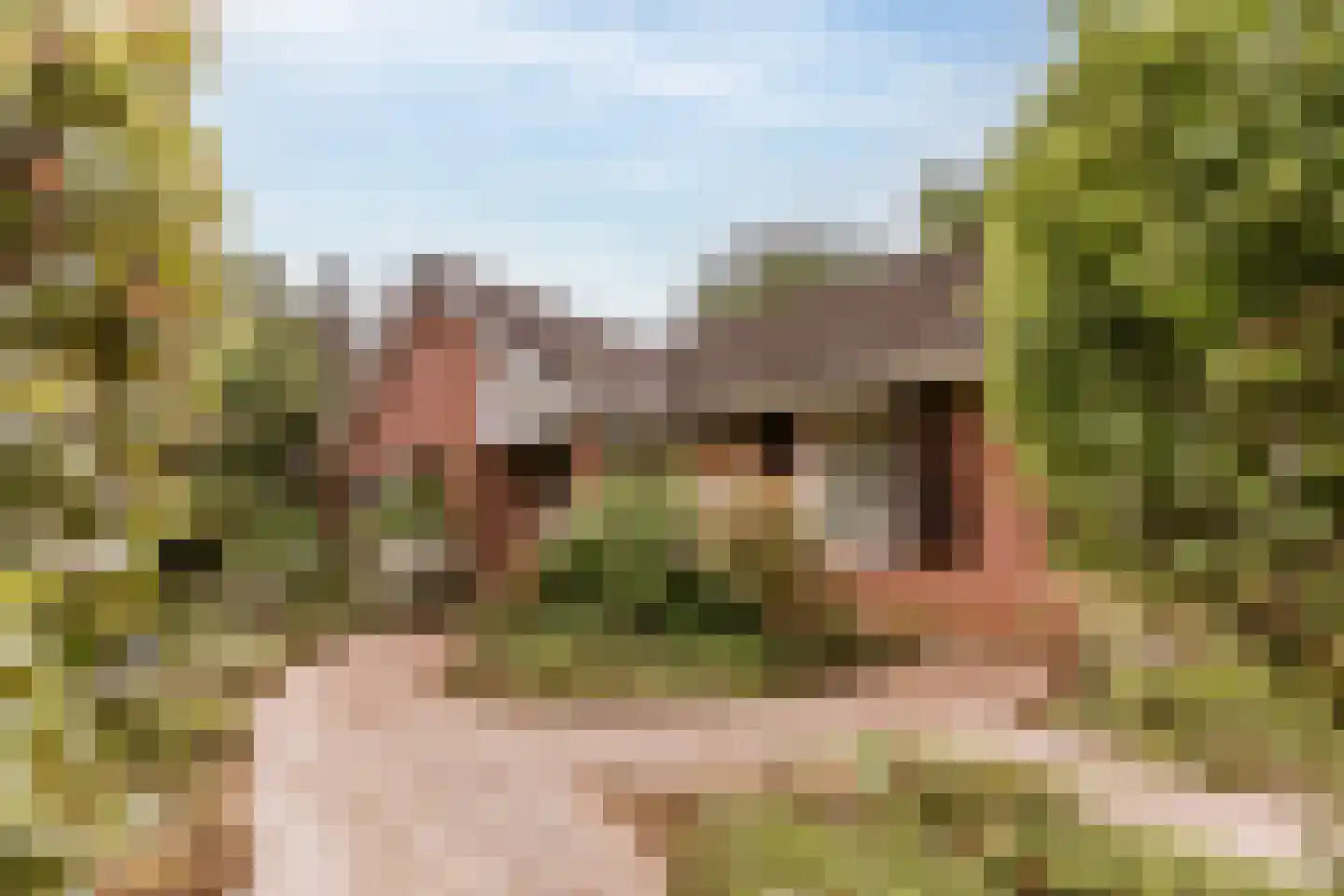 Dominicushof 6 Roermond thumbnail 6