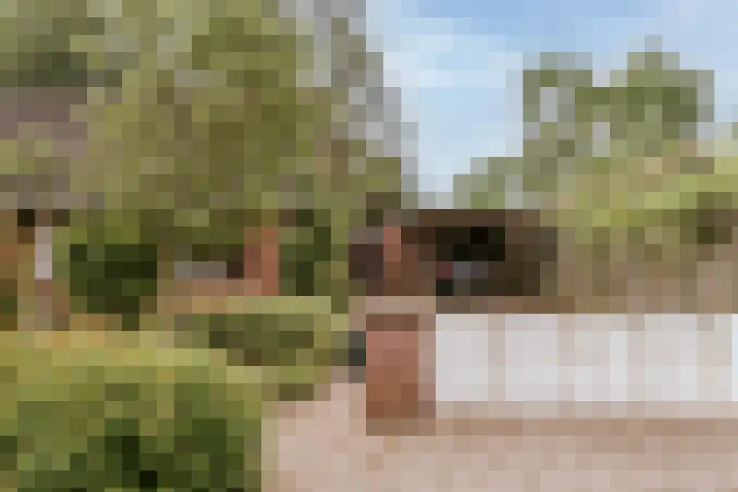 Dominicushof 6 Roermond thumbnail 7