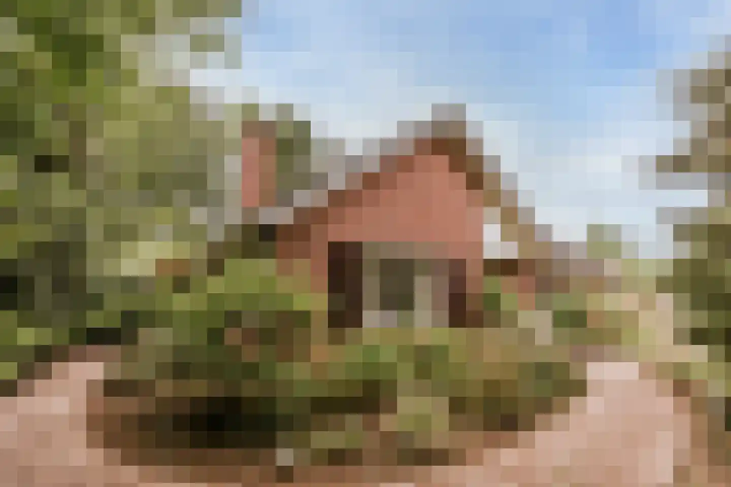 Dominicushof 6 Roermond thumbnail 8