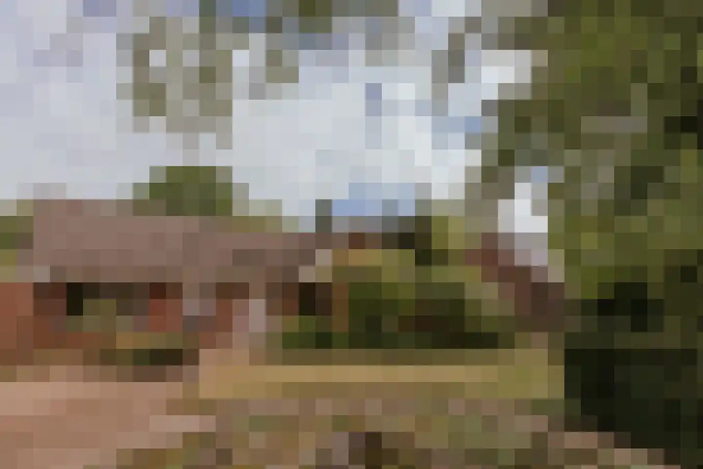 Dominicushof 6 Roermond thumbnail 9