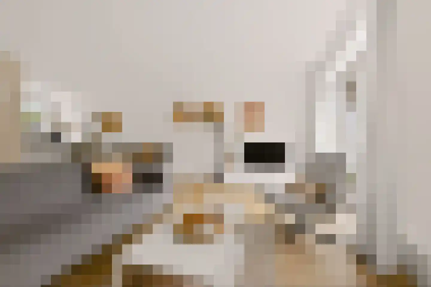 Dominicushof 70 Vianen thumbnail 10