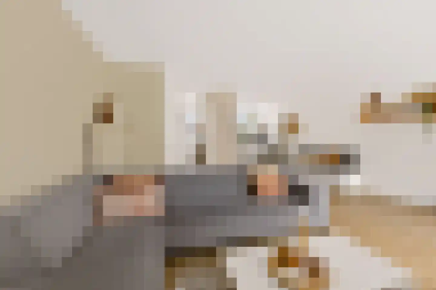Dominicushof 70 Vianen thumbnail 11