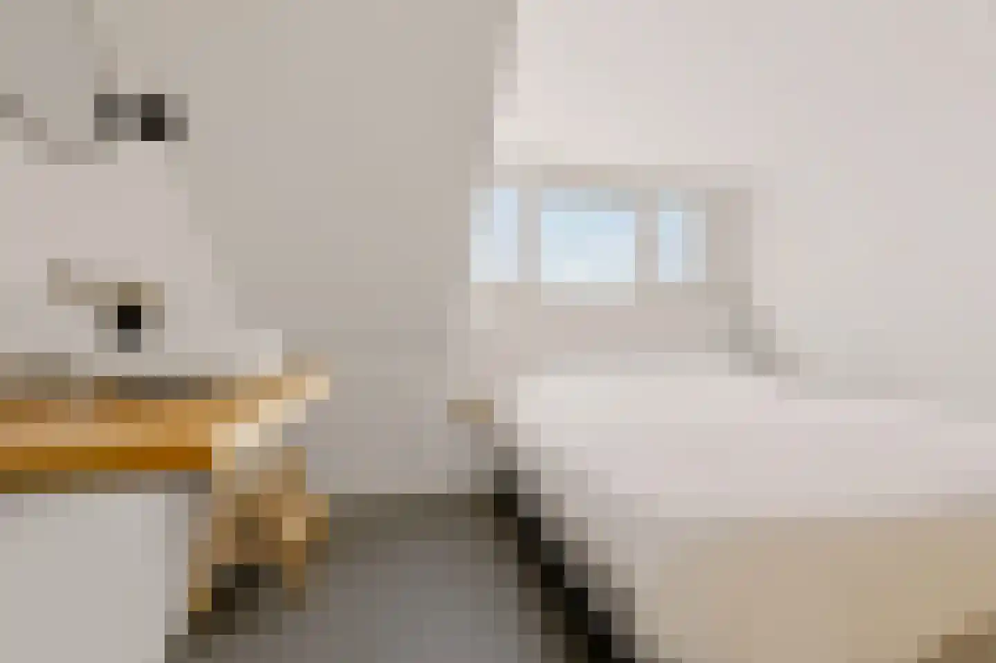 Dominicushof 70 Vianen thumbnail 37