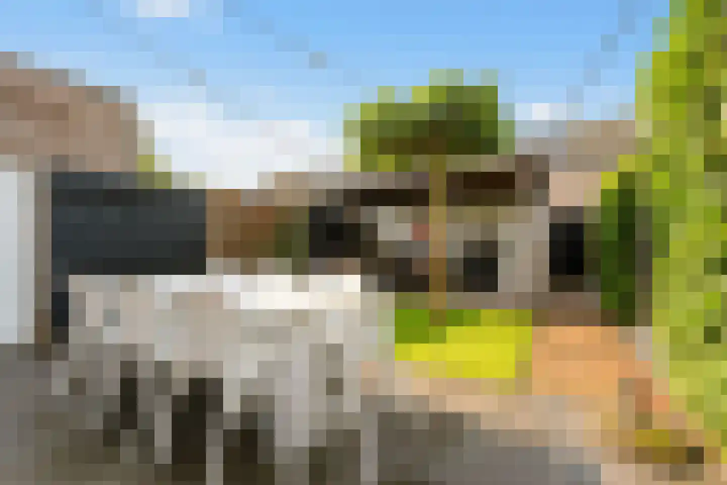 Dominicushof 70 Vianen thumbnail 4