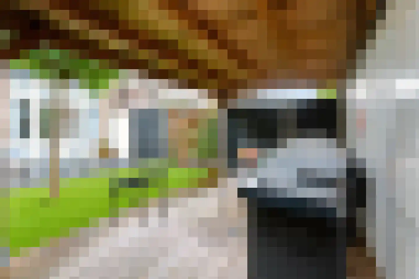 Dominicushof 70 Vianen thumbnail 47