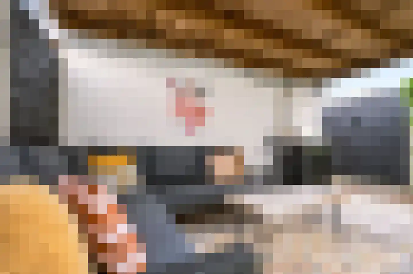 Dominicushof 70 Vianen thumbnail 49