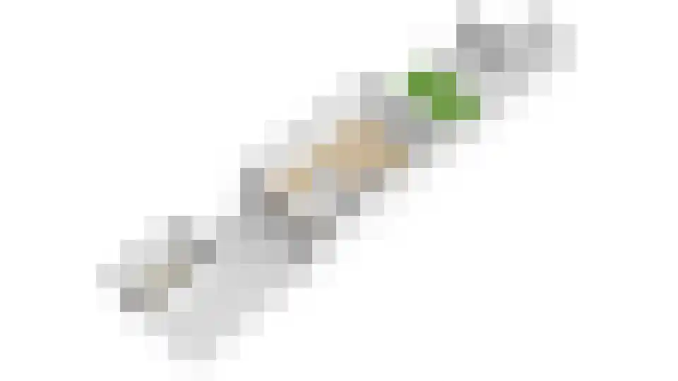 Dominicushof 70 Vianen thumbnail 68