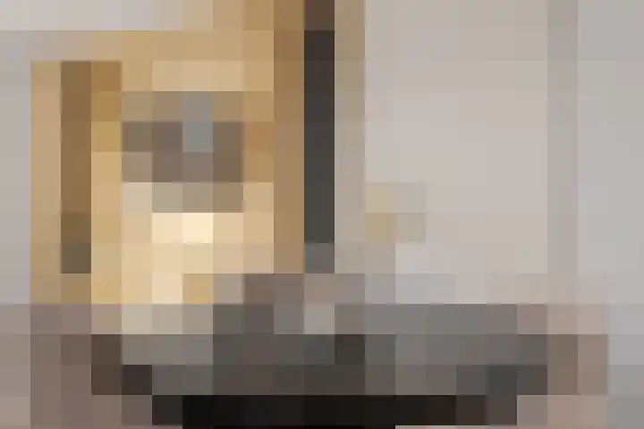 Dominicushof 90 Vianen thumbnail 10