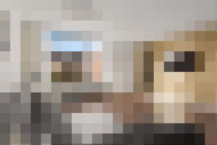 Dominicushof 90 Vianen thumbnail 13