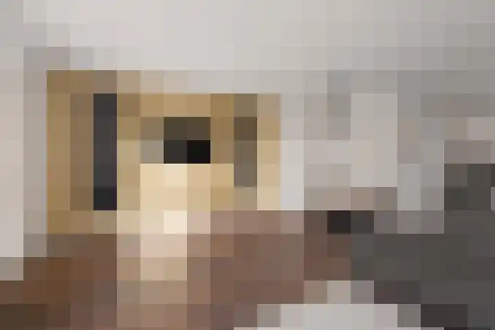 Dominicushof 90 Vianen thumbnail 14