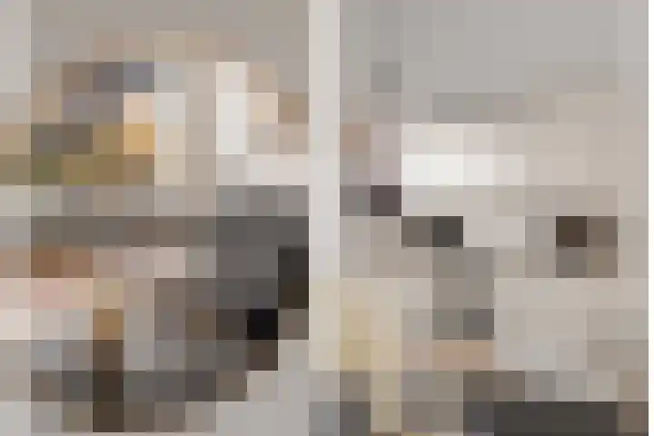 Dominicushof 90 Vianen thumbnail 20