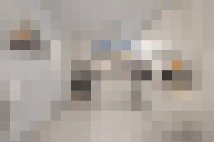 Dominicushof 90 Vianen thumbnail 21