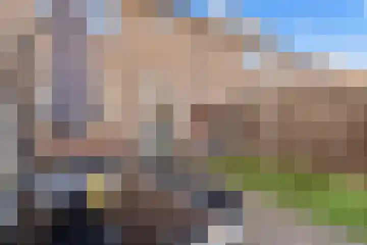 Dominicushof 90 Vianen thumbnail 28