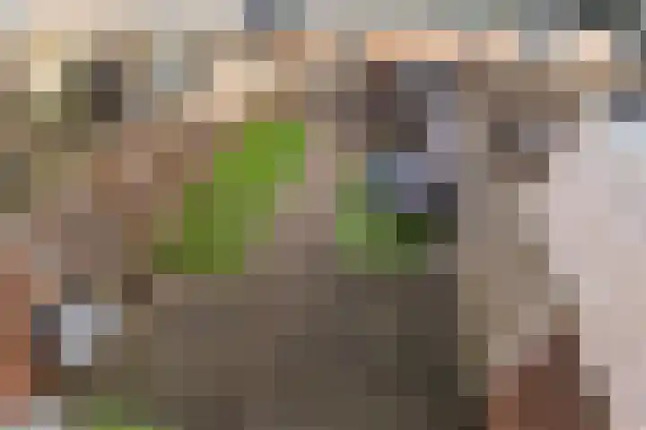 Dominicushof 90 Vianen thumbnail 30