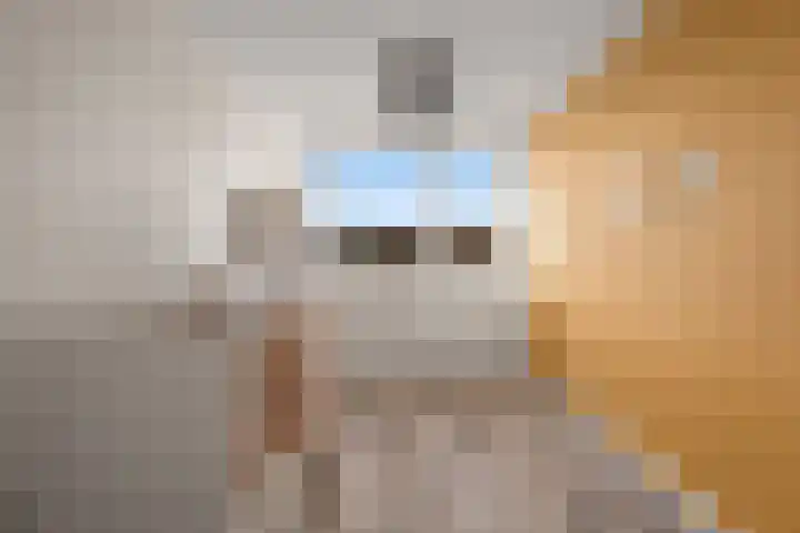 Dominicushof 90 Vianen thumbnail 39