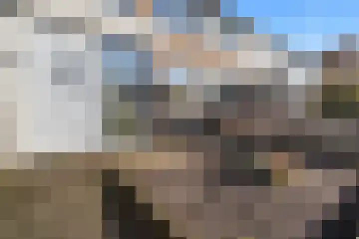 Dominicushof 90 Vianen thumbnail 4