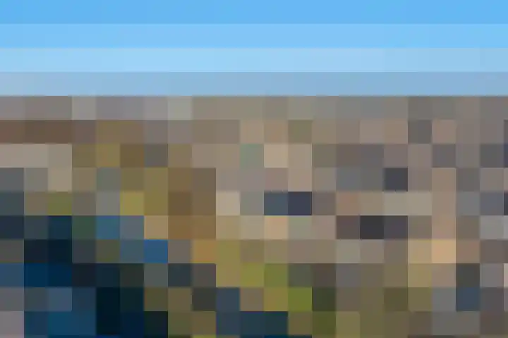 Dominicushof 90 Vianen thumbnail 47
