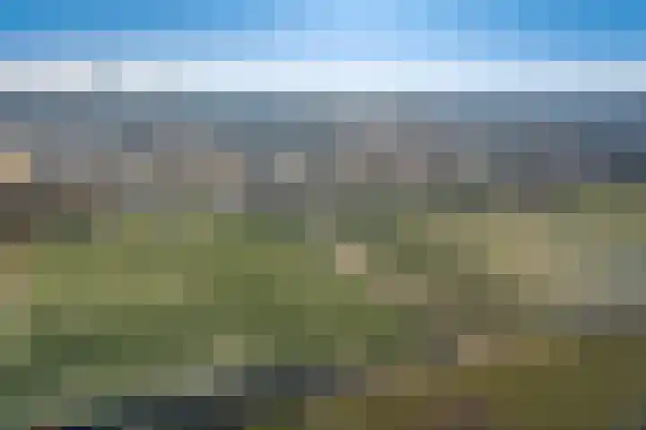 Dominicushof 90 Vianen thumbnail 48