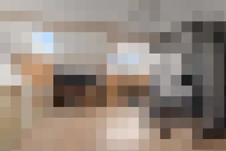 Dominicushof 90 Vianen thumbnail 50