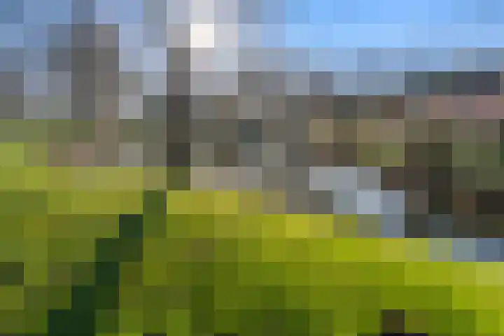 Dominicushof 90 Vianen thumbnail 56