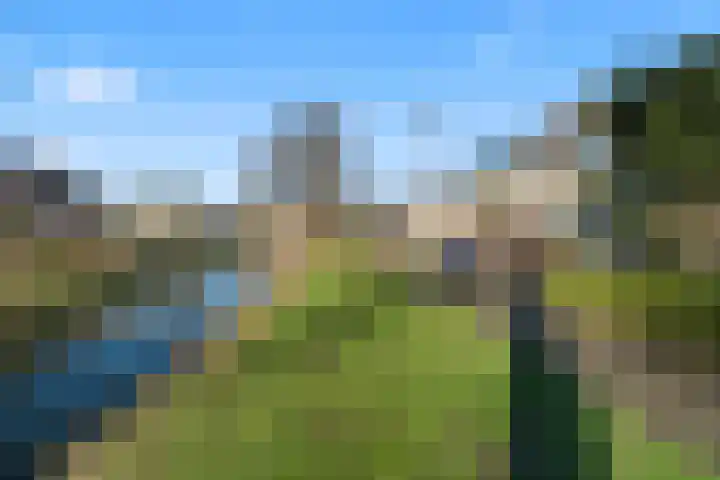 Dominicushof 90 Vianen thumbnail 57