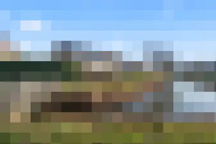 Dominicushof 90 Vianen thumbnail 58