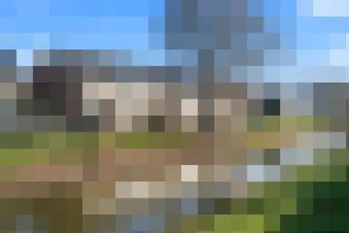 Dominicushof 90 Vianen thumbnail 59