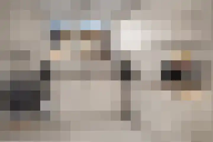 Dominicushof 90 Vianen thumbnail 6