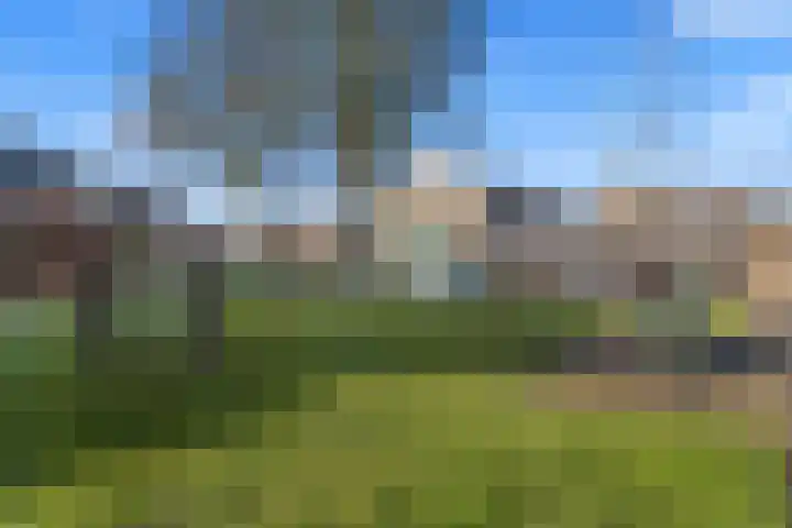 Dominicushof 90 Vianen thumbnail 60