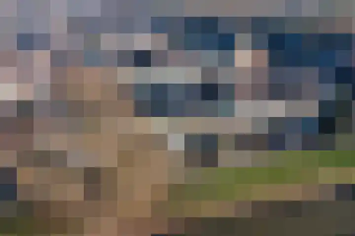 Dominicushof 90 Vianen thumbnail 62