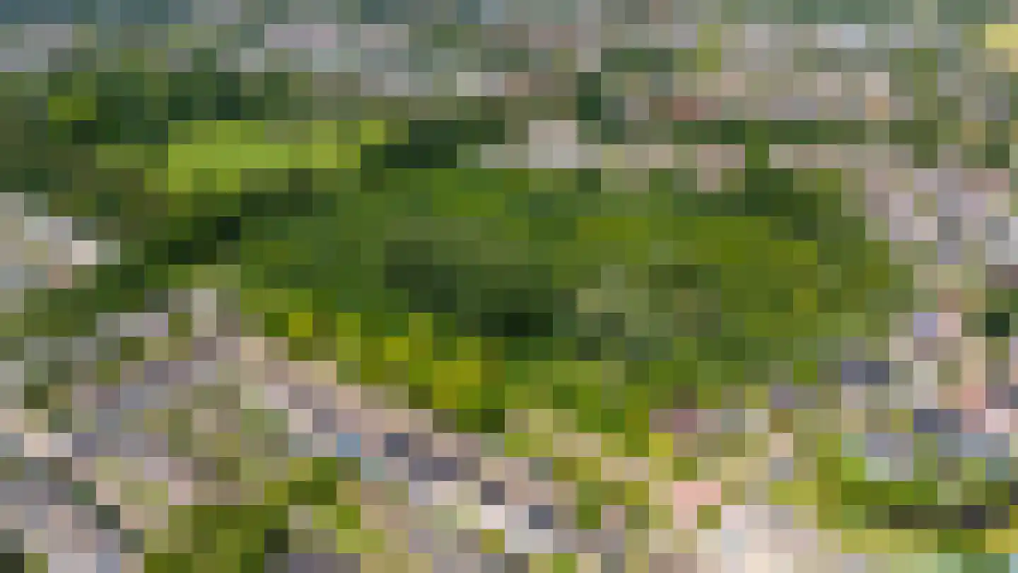 Domisstraat 19 Maarssen thumbnail 44