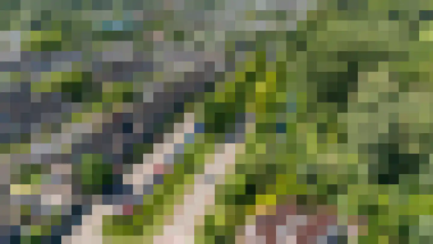 Domisstraat 19 Maarssen thumbnail 46
