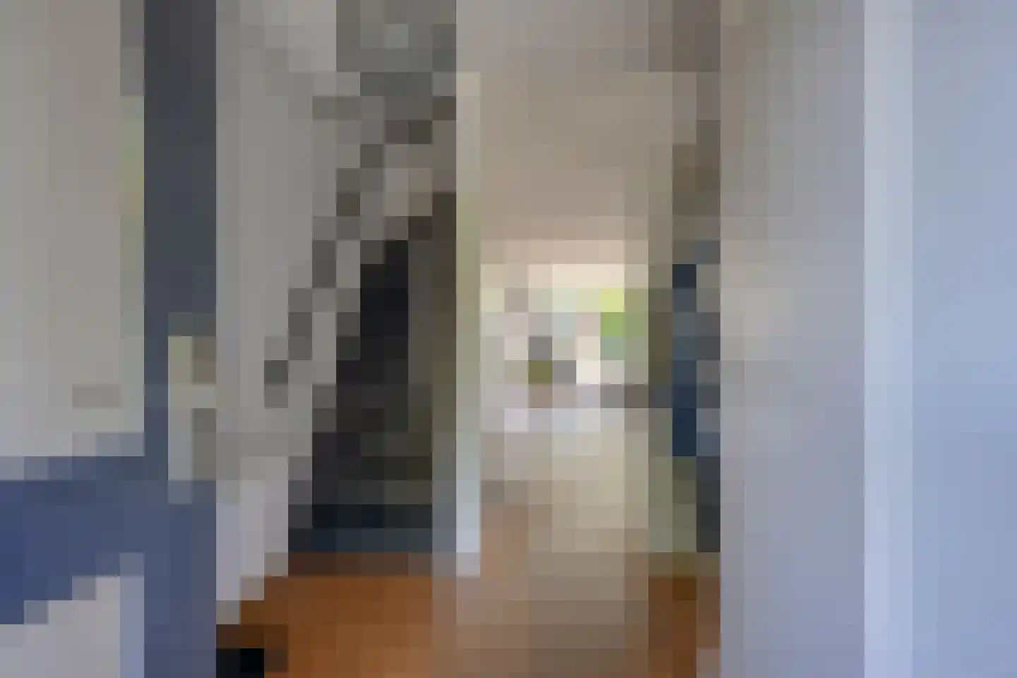 Domisstraat 19 Maarssen thumbnail 6