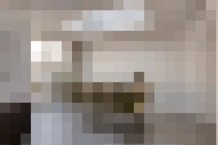 Dommel 10 Someren thumbnail 11