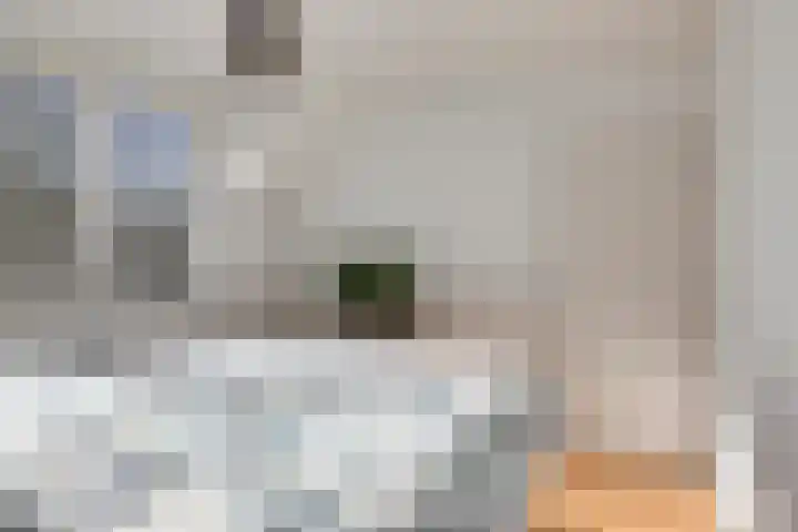 Dommel 10 Someren thumbnail 23