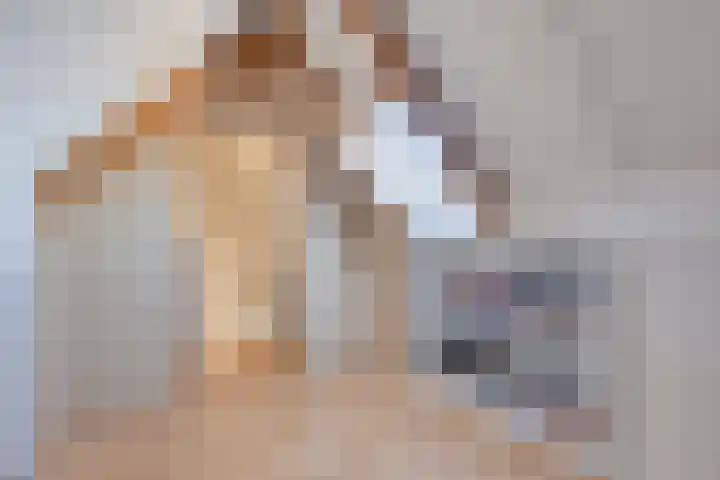 Dommel 10 Someren thumbnail 31