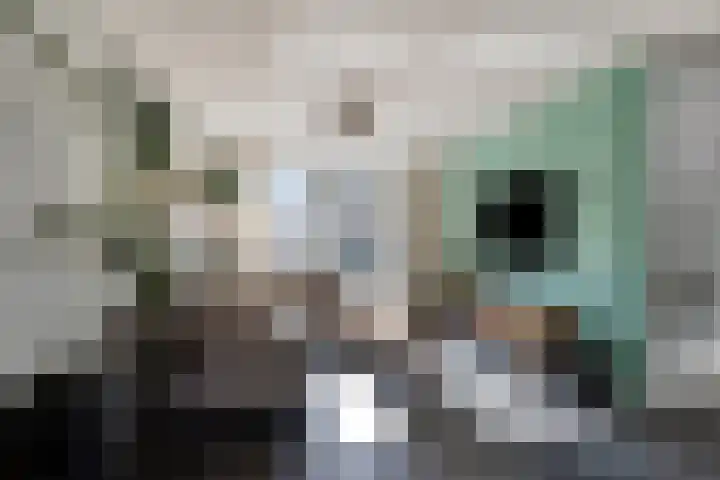 Dommel 10 Someren thumbnail 8