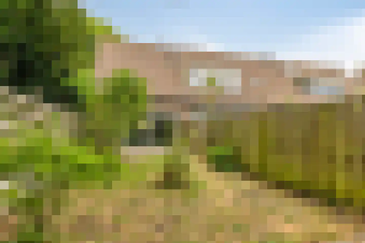 Dommel 111 Heerhugowaard thumbnail 19