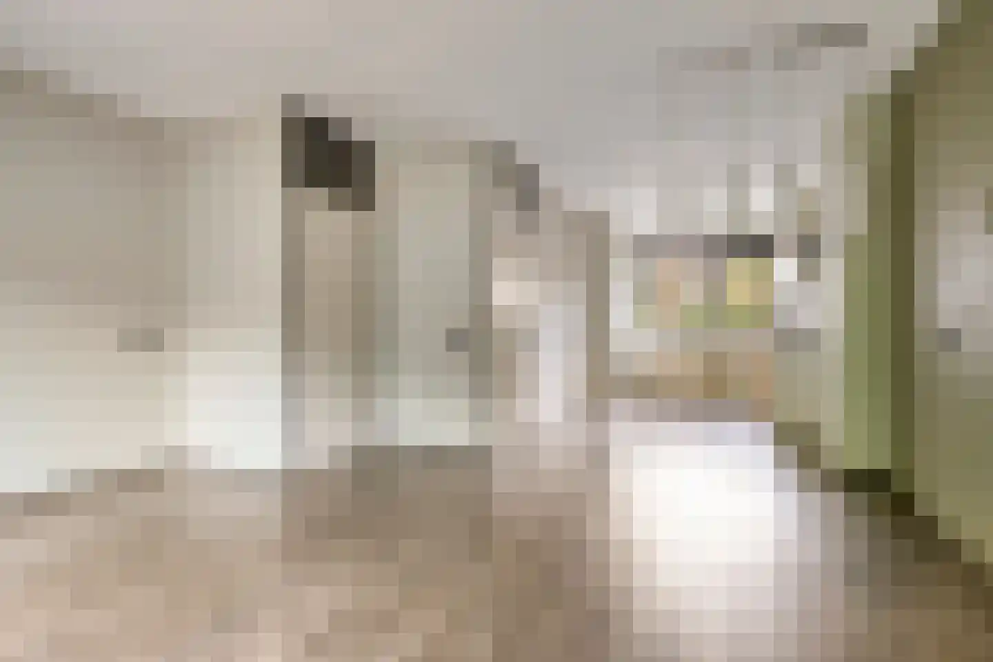 Dommel 111 Heerhugowaard thumbnail 8