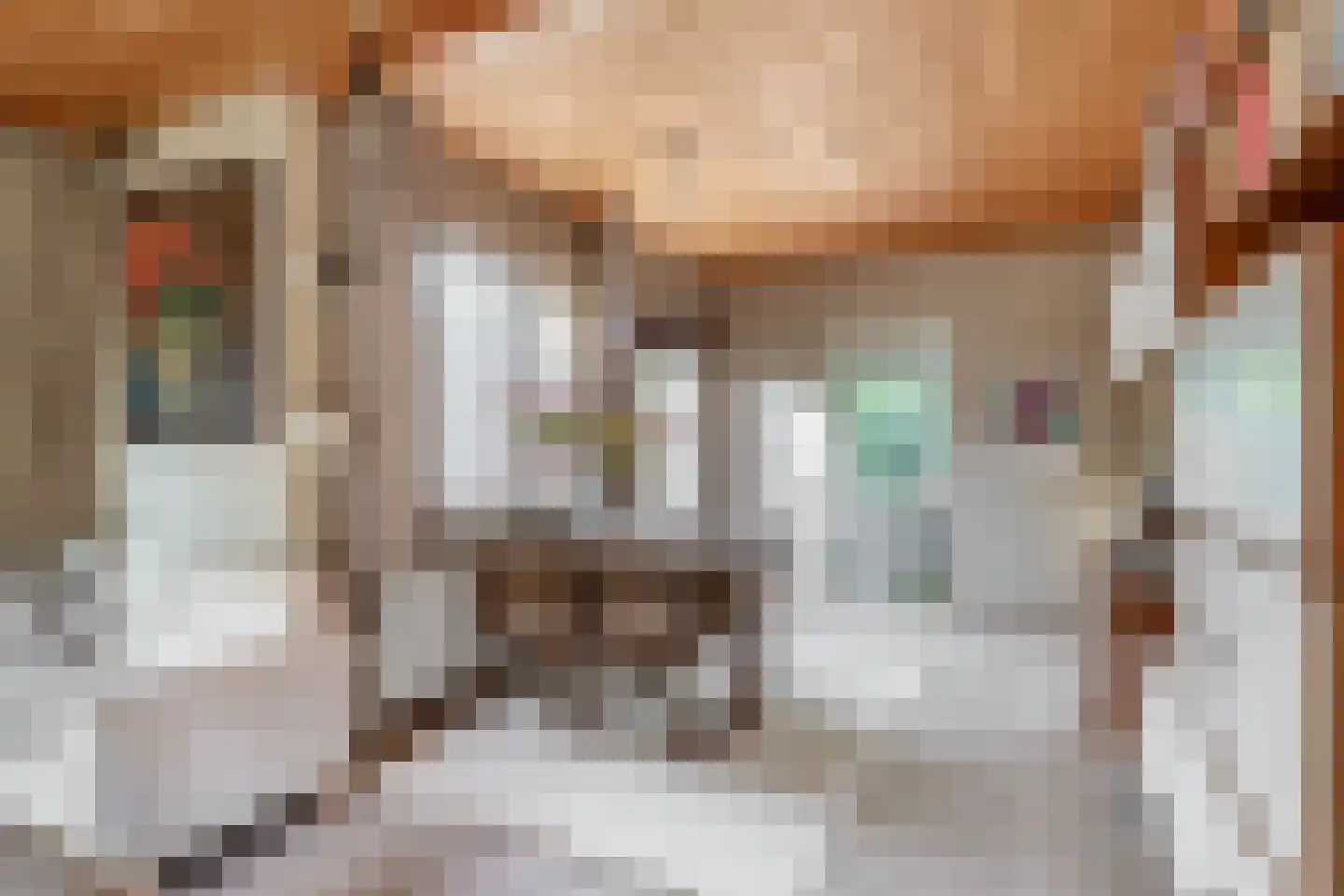 Dommel 28 Deurne thumbnail 22