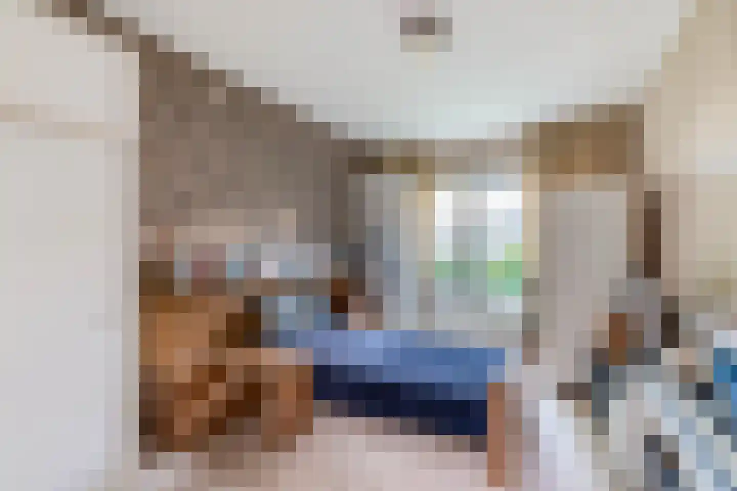 Dommel 28 Deurne thumbnail 33