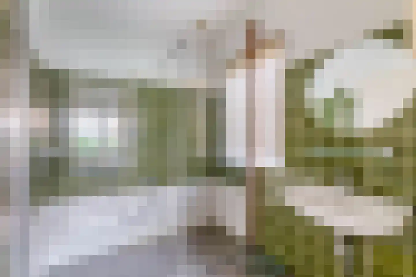 Dommel 28 Deurne thumbnail 37