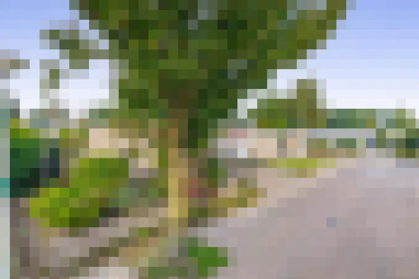 Dommel 28 Deurne thumbnail 40