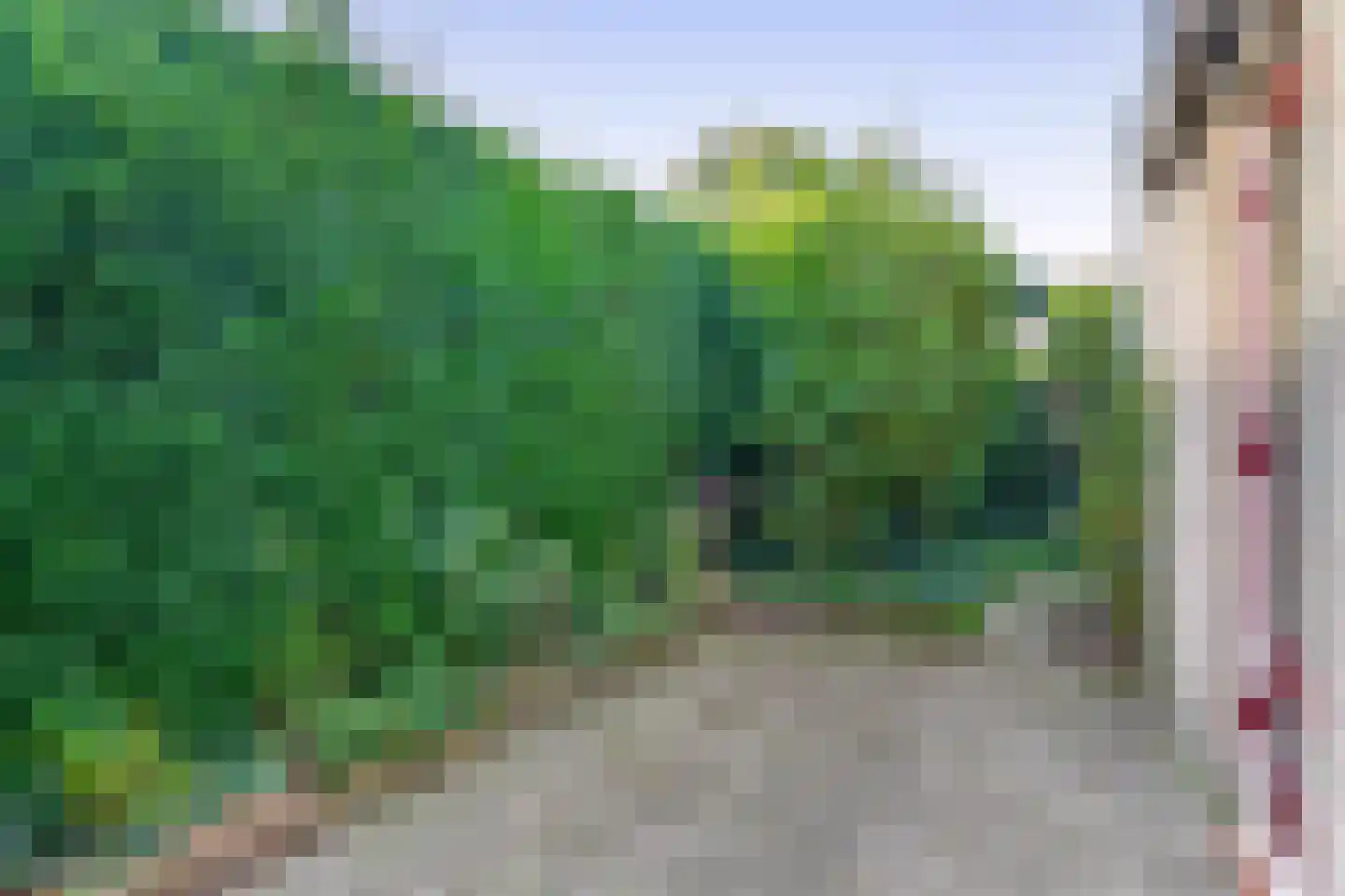 Dommel 28 Deurne thumbnail 41