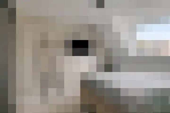 Dommel 35 Oisterwijk thumbnail 21