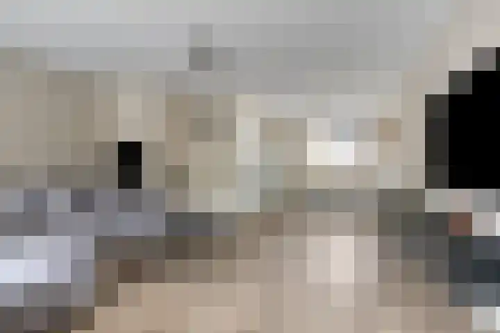 Dommel 35 Oisterwijk thumbnail 6